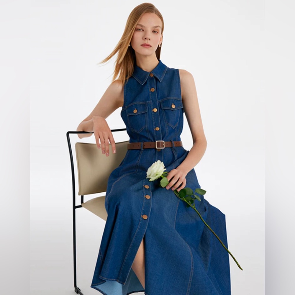 Goelia denim dress w belt